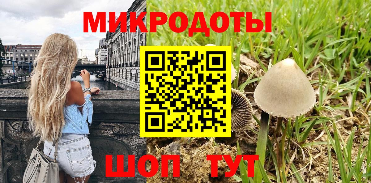 Качканар  Псилоцибиновые грибы MAGIC MUSHROOMS  Вход с VPN 